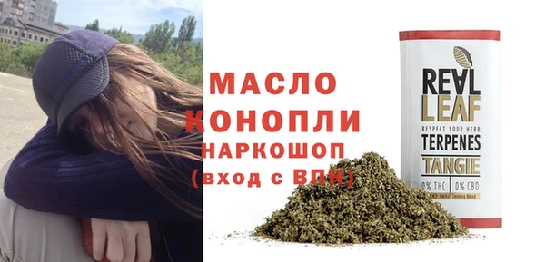 трава Гусиноозёрск