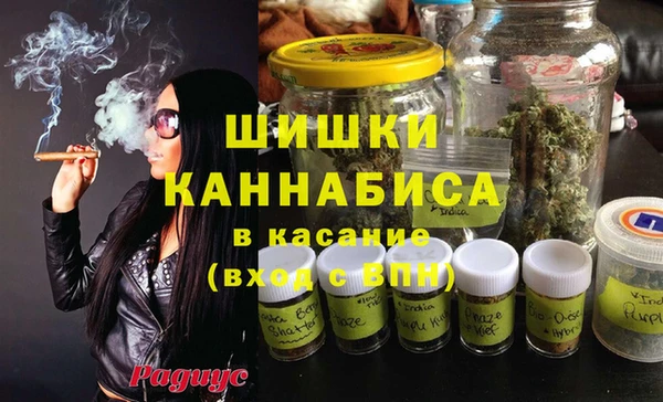 трава Гусиноозёрск