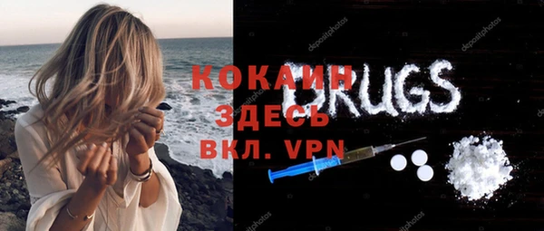 трава Гусиноозёрск