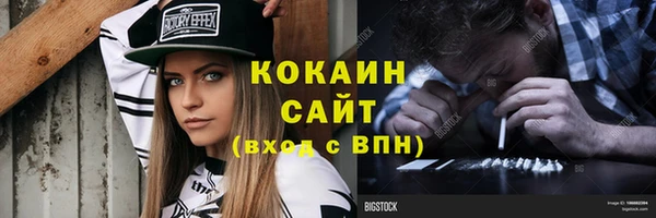 трава Гусиноозёрск