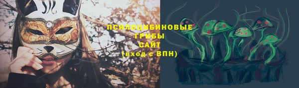 прущие крисы Гусев