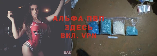 прущие крисы Гусев