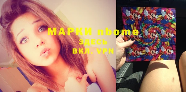 трава Гусиноозёрск