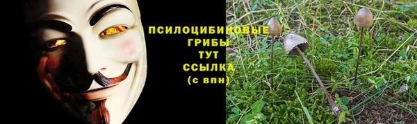 синтетический гашиш Гусь-Хрустальный