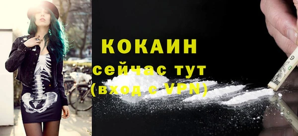 трава Гусиноозёрск