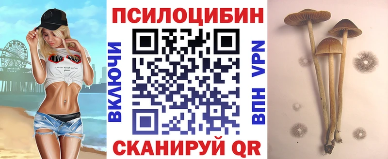 Псилоцибиновые грибы Cubensis  где найти наркотики  Сегежа 